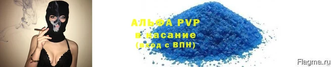 эйфоретик Надым