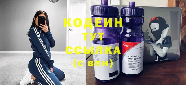 молекула духа Покачи
