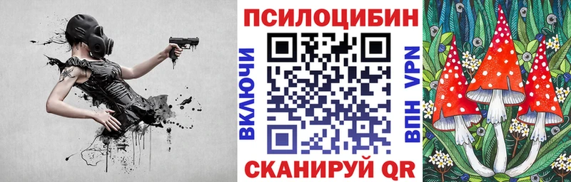 Галлюциногенные грибы Psilocybine cubensis  купить   Новотроицк 