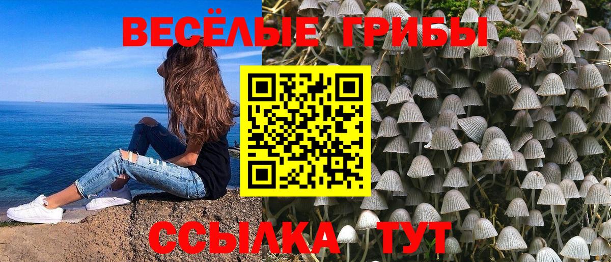 Галлюциногенные грибы GOLDEN TEACHER  Вход с VPN  Новотроицк 
